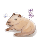 Capybara and Guinea pigs（個別スタンプ：23）