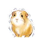 Capybara and Guinea pigs（個別スタンプ：35）