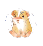 Capybara and Guinea pigs（個別スタンプ：36）