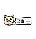 フレンチブルドッグ_（個別スタンプ：21）