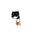 ちょっとふてぶてしいパンダみたいな猫（個別スタンプ：21）