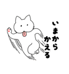 へんぬことはむ(家族編)（個別スタンプ：24）