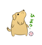 かわいいハムスター犬（個別スタンプ：1）
