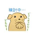 かわいいハムスター犬（個別スタンプ：11）