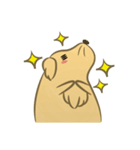 かわいいハムスター犬（個別スタンプ：12）