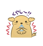 かわいいハムスター犬（個別スタンプ：13）
