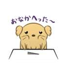 かわいいハムスター犬（個別スタンプ：25）