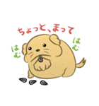 かわいいハムスター犬（個別スタンプ：35）