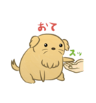 かわいいハムスター犬（個別スタンプ：39）