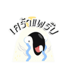 PPN HAPPY PARROT（個別スタンプ：11）