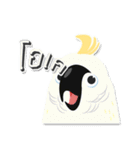 PPN HAPPY PARROT（個別スタンプ：14）