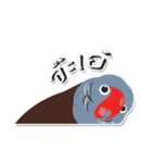 PPN HAPPY PARROT（個別スタンプ：20）