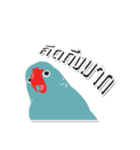 PPN HAPPY PARROT（個別スタンプ：26）