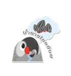 PPN HAPPY PARROT（個別スタンプ：27）