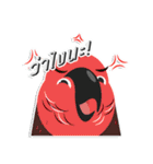 PPN HAPPY PARROT（個別スタンプ：40）