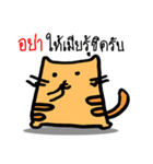 Strong cat husband（個別スタンプ：15）