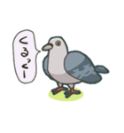 The 鳩。（個別スタンプ：18）