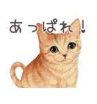 zumoの江戸弁子猫（個別スタンプ：1）