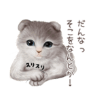 zumoの江戸弁子猫（個別スタンプ：5）