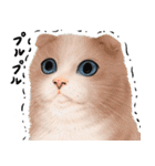 zumoの江戸弁子猫（個別スタンプ：6）