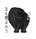 zumoの江戸弁子猫（個別スタンプ：8）