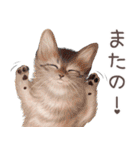 zumoの江戸弁子猫（個別スタンプ：9）