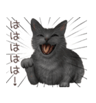 zumoの江戸弁子猫（個別スタンプ：12）