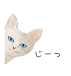 zumoの江戸弁子猫（個別スタンプ：14）