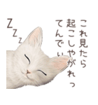zumoの江戸弁子猫（個別スタンプ：15）