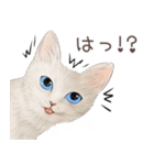 zumoの江戸弁子猫（個別スタンプ：16）