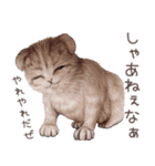zumoの江戸弁子猫（個別スタンプ：18）