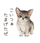 zumoの江戸弁子猫（個別スタンプ：21）