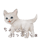 zumoの江戸弁子猫（個別スタンプ：22）