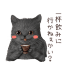 zumoの江戸弁子猫（個別スタンプ：24）