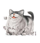 zumoの江戸弁子猫（個別スタンプ：25）