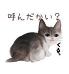 zumoの江戸弁子猫（個別スタンプ：27）