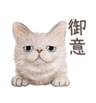 zumoの江戸弁子猫（個別スタンプ：28）