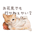 zumoの江戸弁子猫（個別スタンプ：34）
