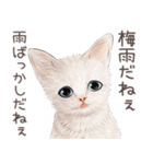 zumoの江戸弁子猫（個別スタンプ：35）