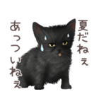 zumoの江戸弁子猫（個別スタンプ：36）