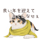 zumoの江戸弁子猫（個別スタンプ：39）