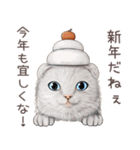 zumoの江戸弁子猫（個別スタンプ：40）
