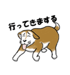 すっとぼ犬 タロウ（個別スタンプ：11）