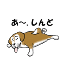 すっとぼ犬 タロウ（個別スタンプ：18）