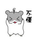 Popular funny cute:Hamsters CHU CHU（個別スタンプ：21）