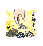 Pleco fish（個別スタンプ：19）