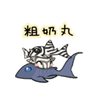 Pleco fish（個別スタンプ：27）