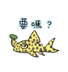 Pleco fish（個別スタンプ：33）