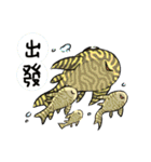 Pleco fish（個別スタンプ：37）