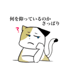 猫敬語スタンプ（個別スタンプ：24）